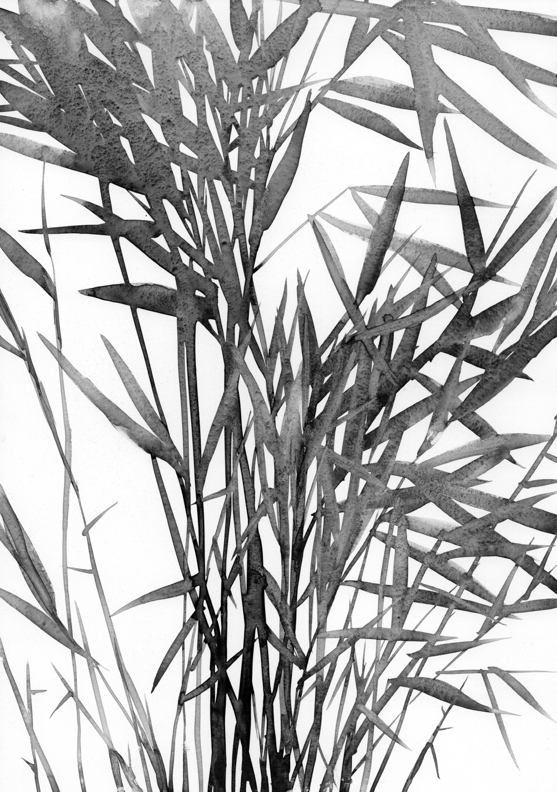 Bamboo leaves sketch on synthetic paper